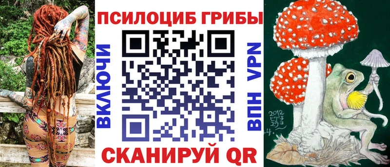 где купить наркотик  Чадан  Галлюциногенные грибы Psilocybe 